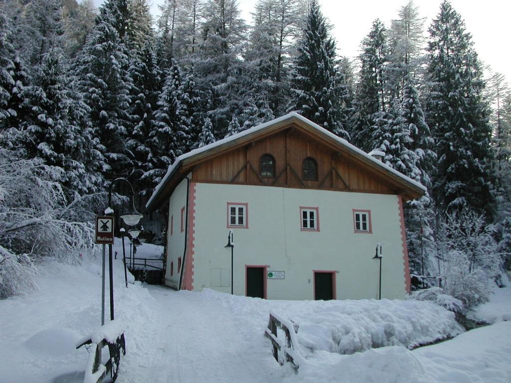 Апартаменти Angeli Dolomiti House Croviana Екстер'єр фото
